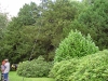 velddag-hoorneboeg-7-en-8-juli-2007-31 velddag-hoorneboeg-7-en-8-juli-2007-31