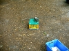 0609-04.jpg 0609-04.jpg