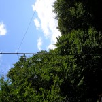 P9050222